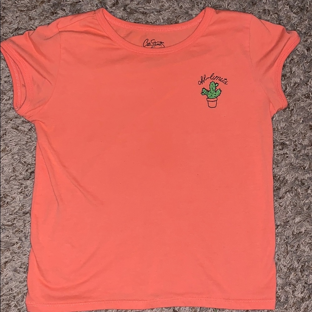 “Off Limits” Cactus Crop Top